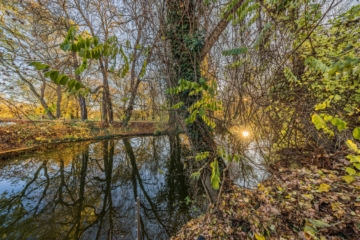 NEU: Familienidyll an der Leipziger Wasserlandschaft - Leipzig - Lindenau | Anlegestelle für Kanus