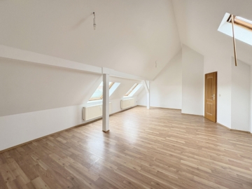 Leipzig - Volkmarsdorf |Wohnzimmer - NEU: Ihr Familientraum – Maisonettewohnung im Leipziger Osten.