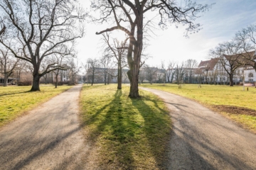 Leipzig - Reudnitz | Direkte Umgebung - NEU: Wohnen am Reudnitzer Park mit eigenem Gartenanteil.